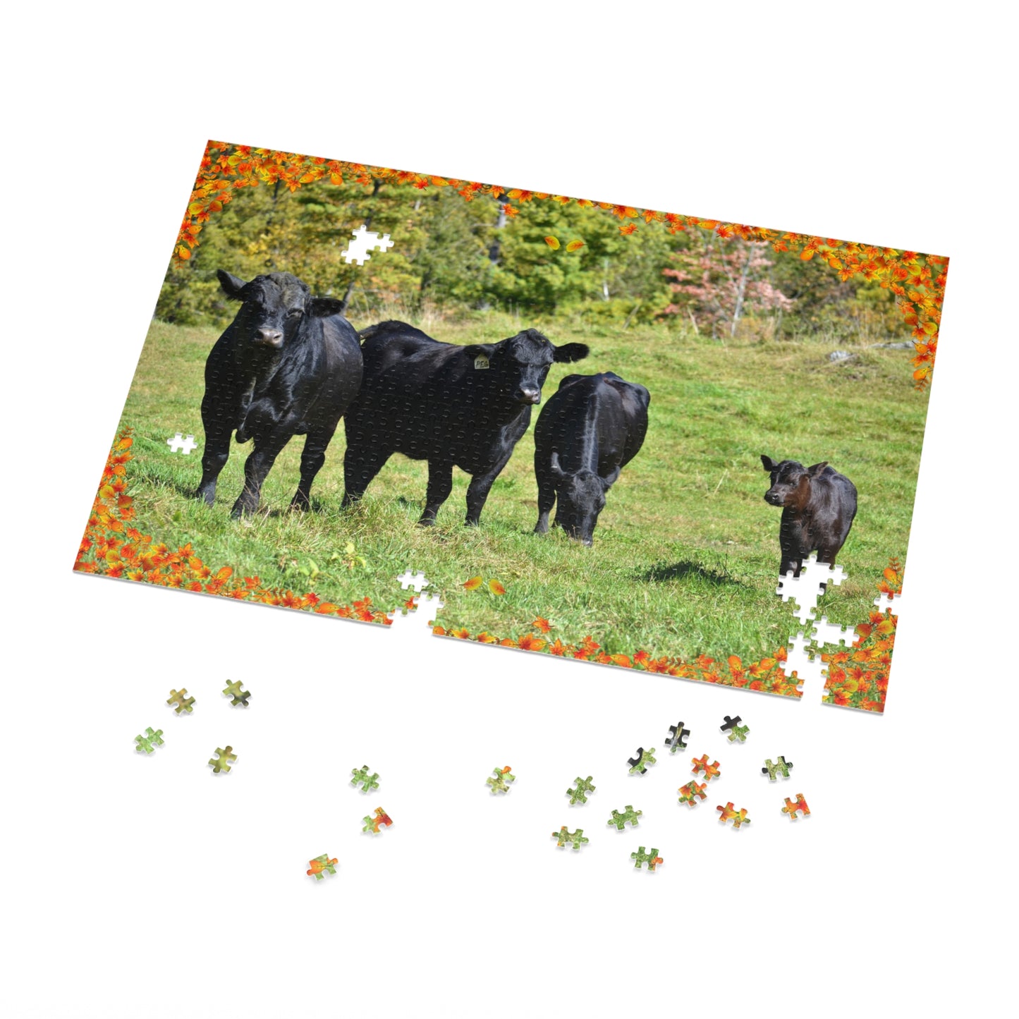 Jigsaw Puzzle (1000 pcs) - Angus Cows in Autumn