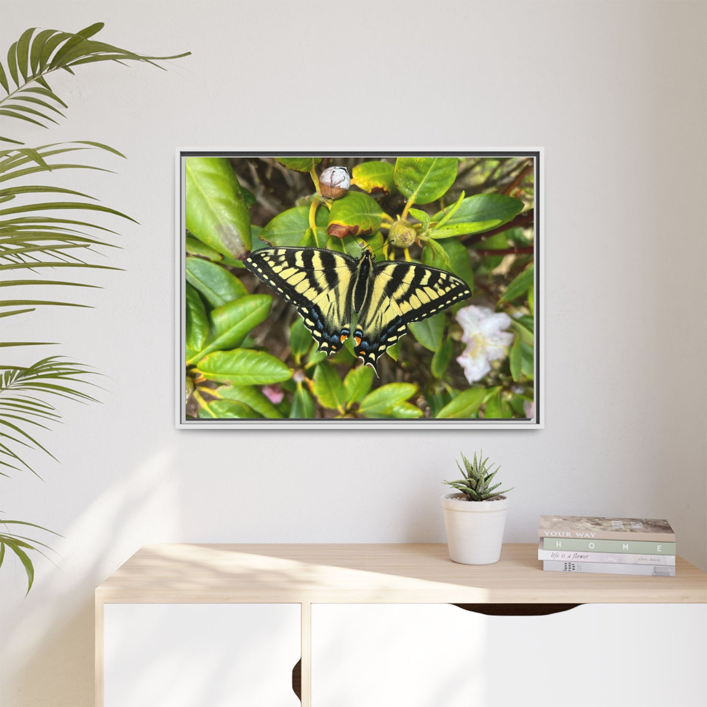Canvas Print in Frame - Eastern Tiger Swallowtail Butterfly on Rhodie (original photograph by Kind River Studio)