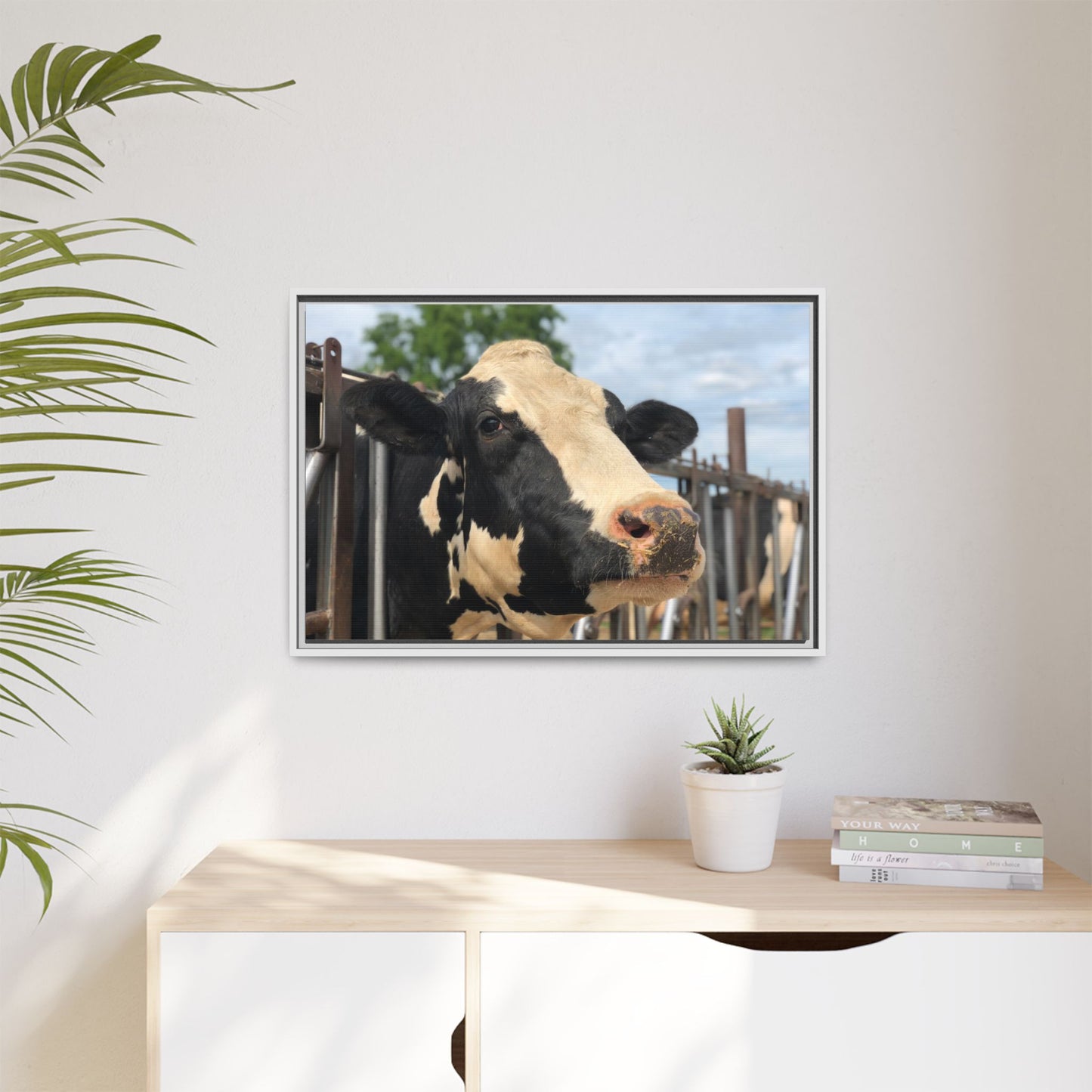 Canvas Print in Frame - Hello Holstein (original photograph by Kind River Studio)