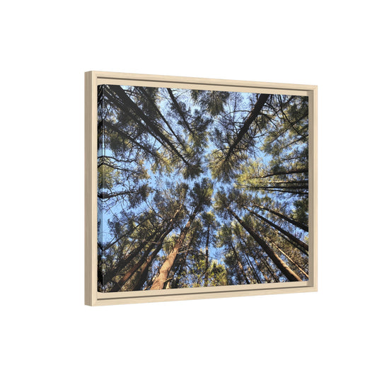 Forest Canopy Matte Canvas Framed Print (original photography by Kind River Studio)