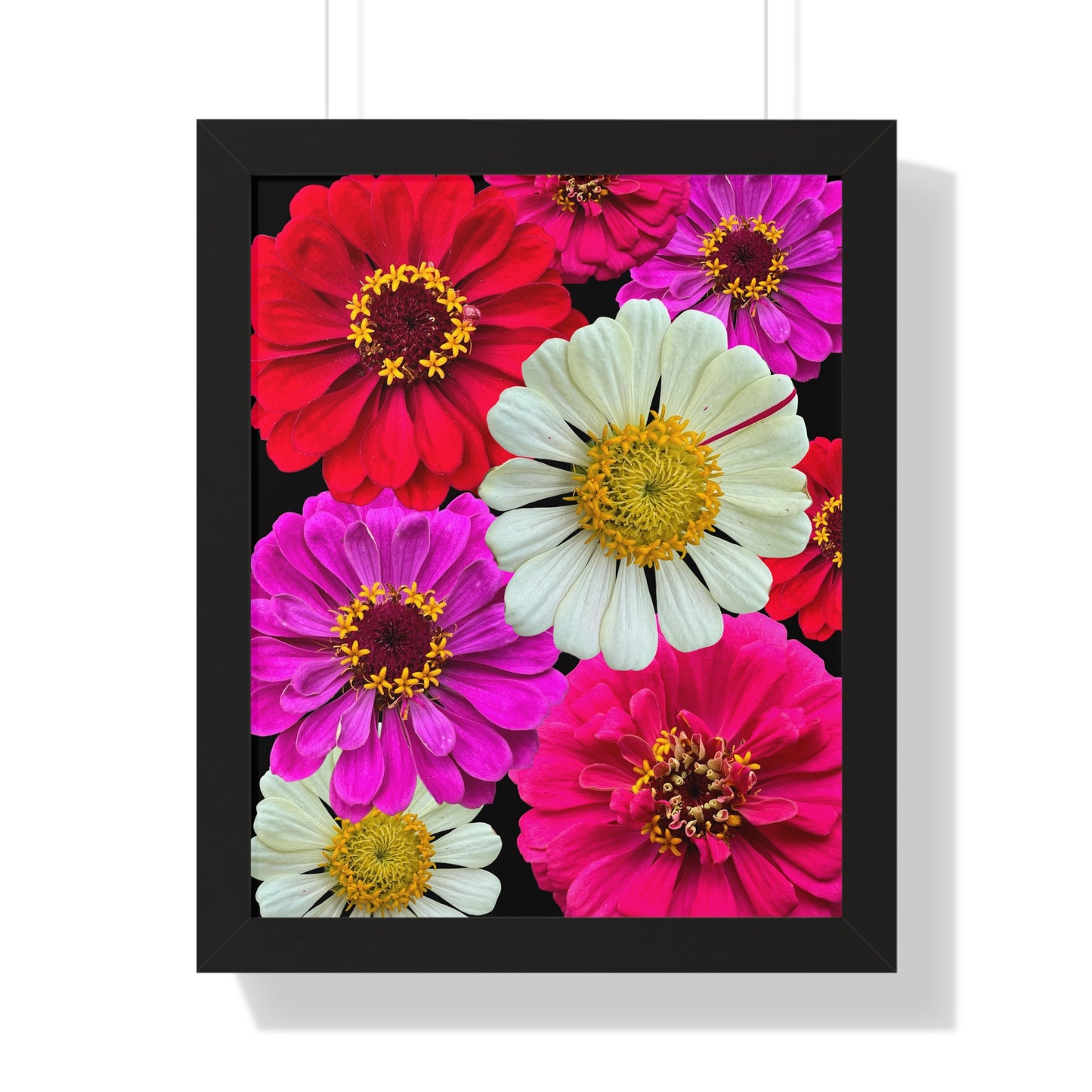 Poster Print in Frame - Zinnias (B/B)