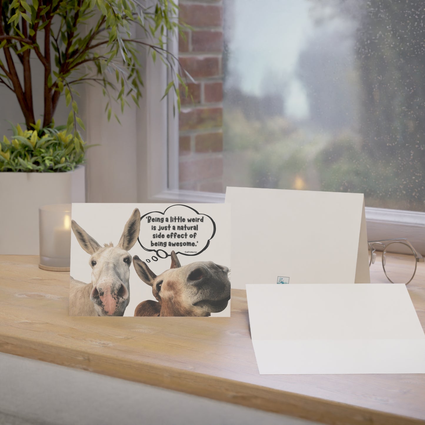 Note Card | Single - Delightful Donkeys