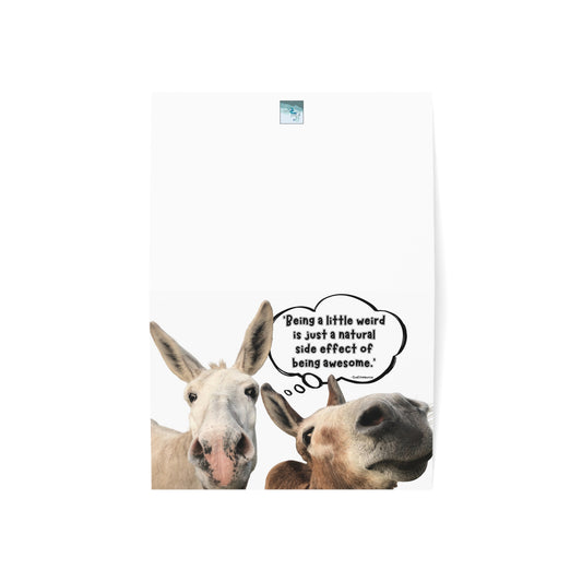 Note Card | Single - Delightful Donkeys