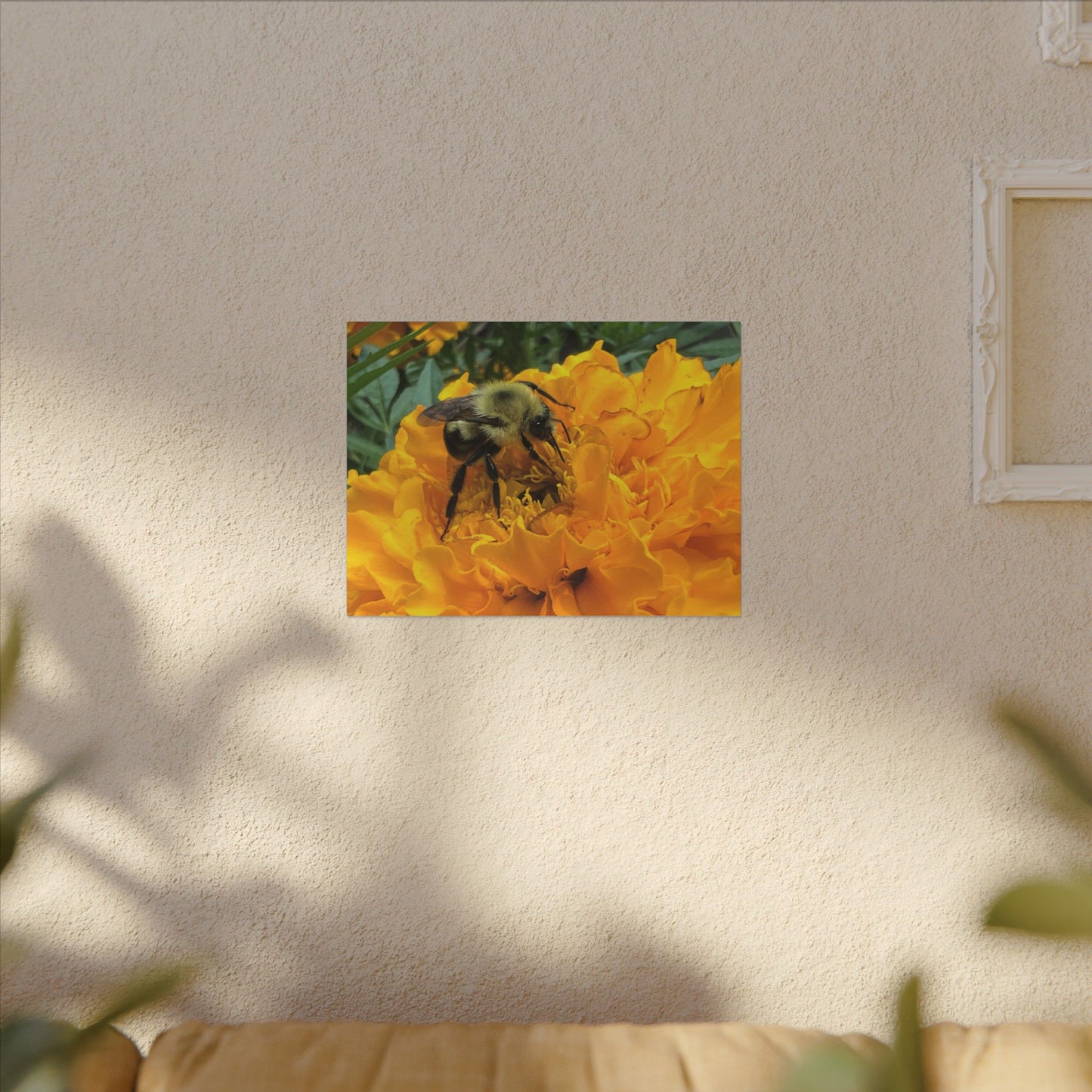 Canvas Print - Bee on Marigold MA (original photograph by Kind River Studio)
