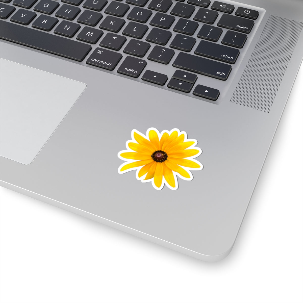 Sticker - Gloriosa Daisy