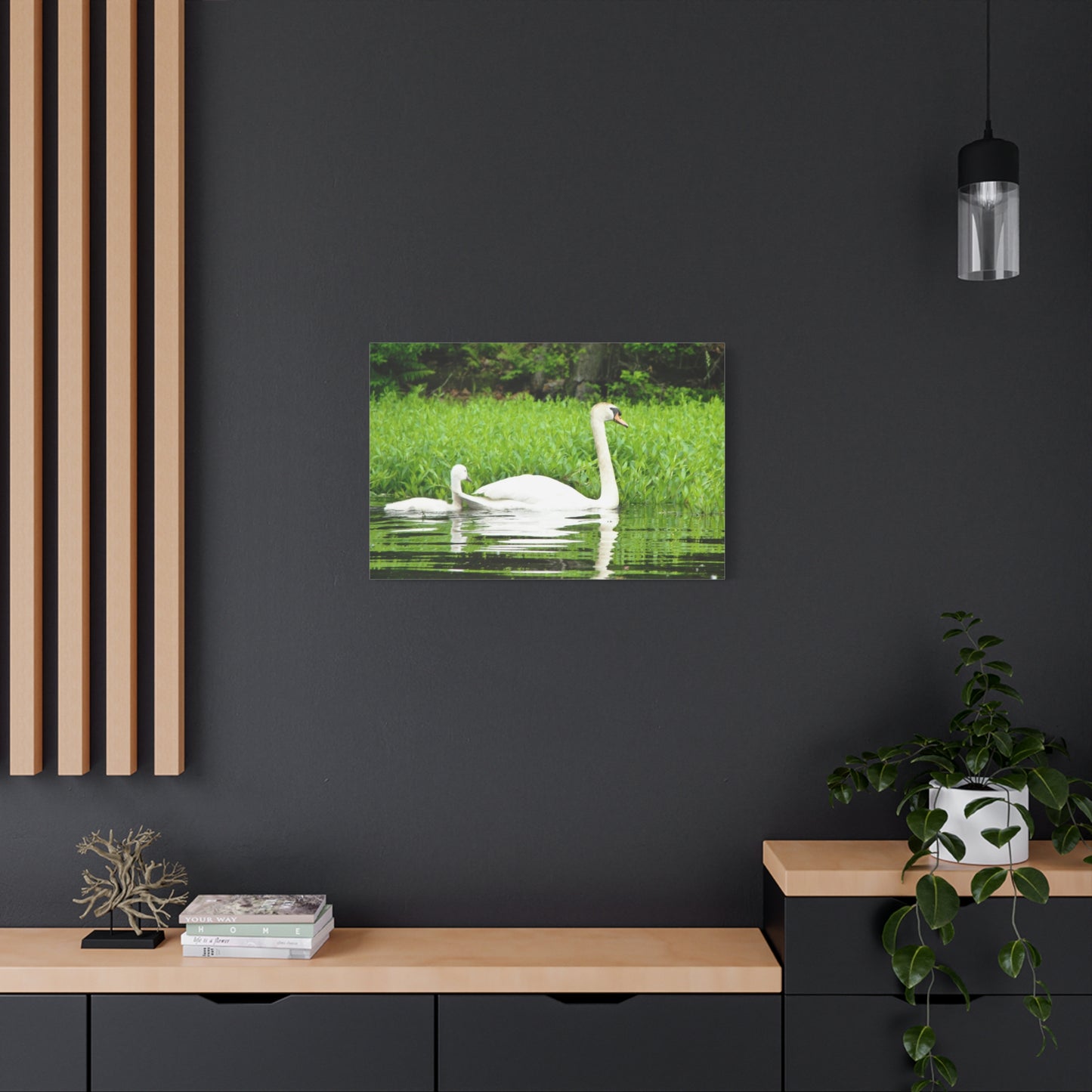 Canvas Print - White Swans (original photograph by Kind River Studio)