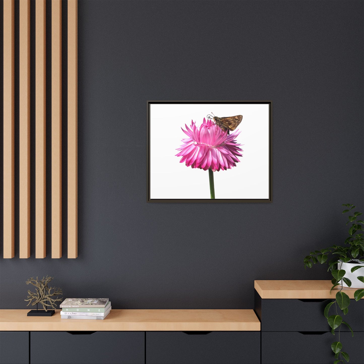 Canvas Print in Frame - Skipper on Strawflower (original photograph by Kind River Studio)