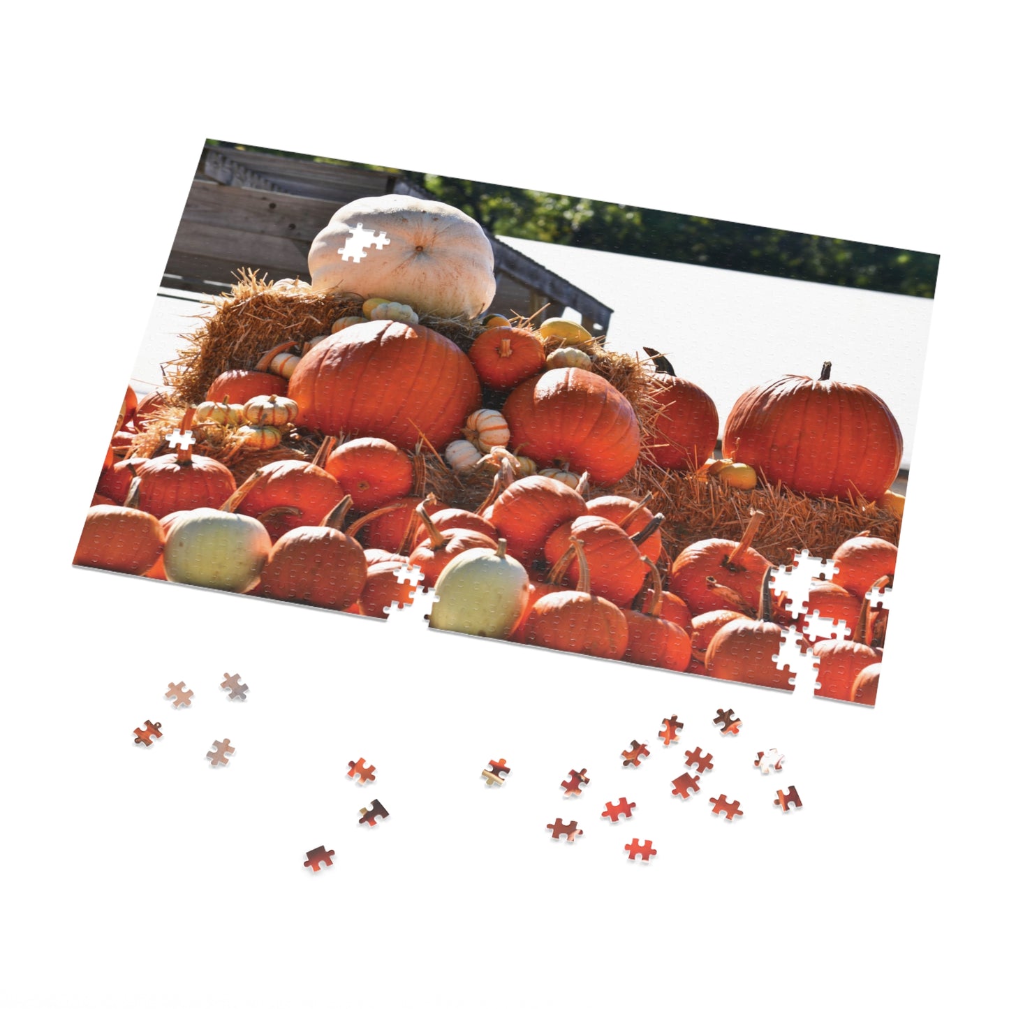 Jigsaw Puzzle (1000 pcs) - Pumpkin Pile