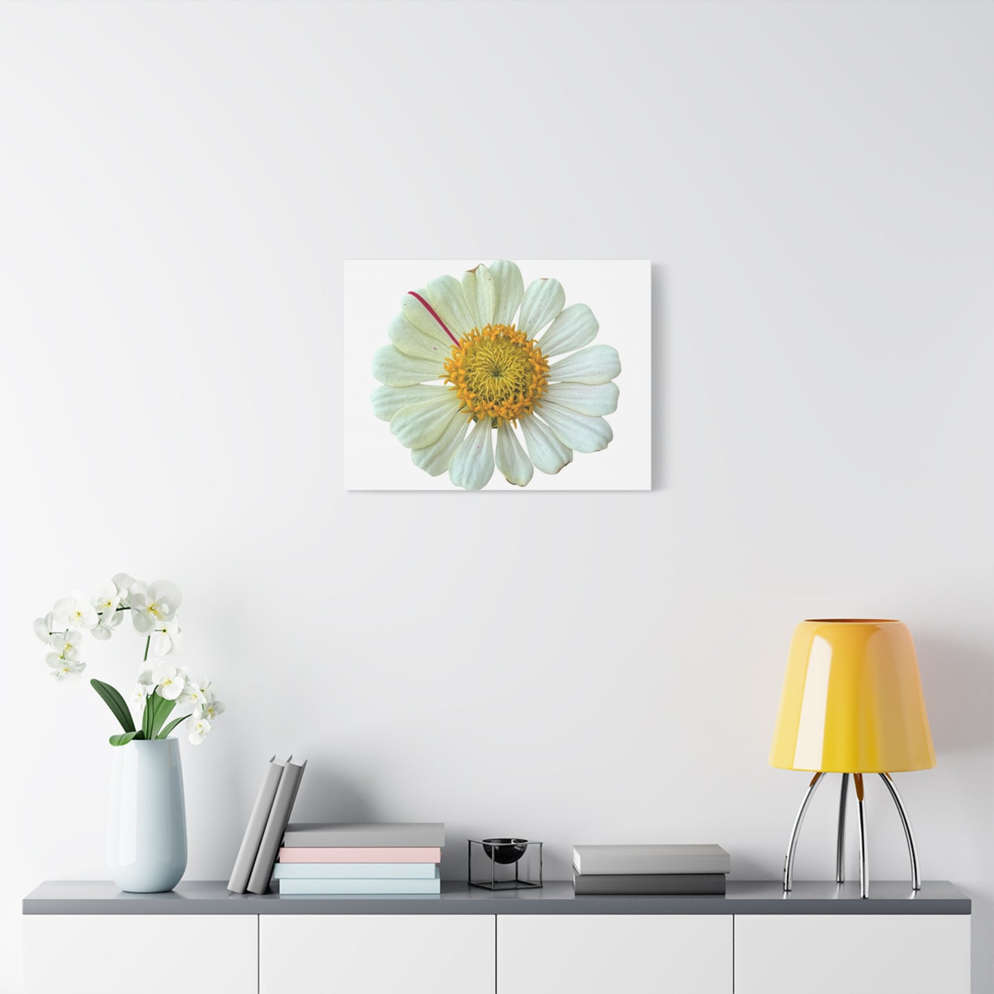 Canvas Print - One White Zinnia with Pink Striped Petal (original photograph by Kind River Studio)