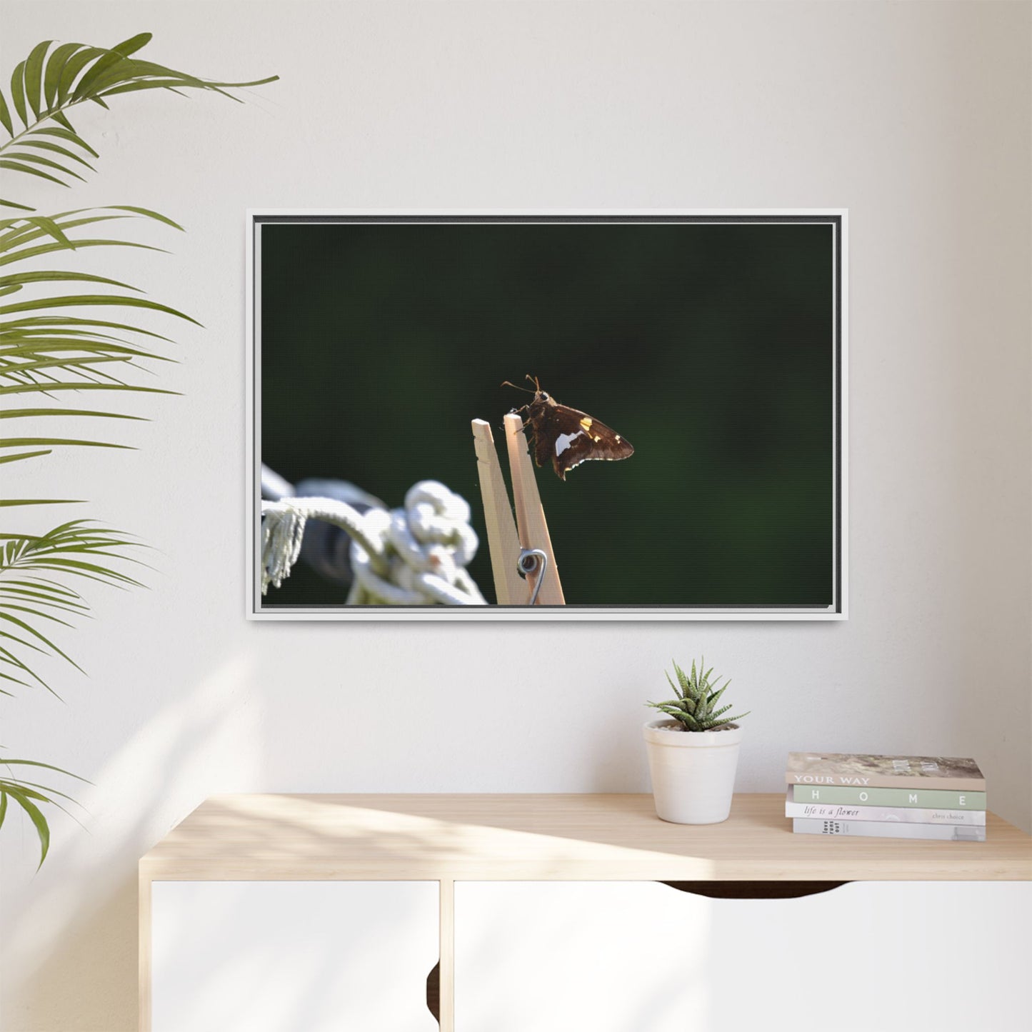 Canvas Print in Frame - Skipper on the Line (original photograph by Kind River Studio)