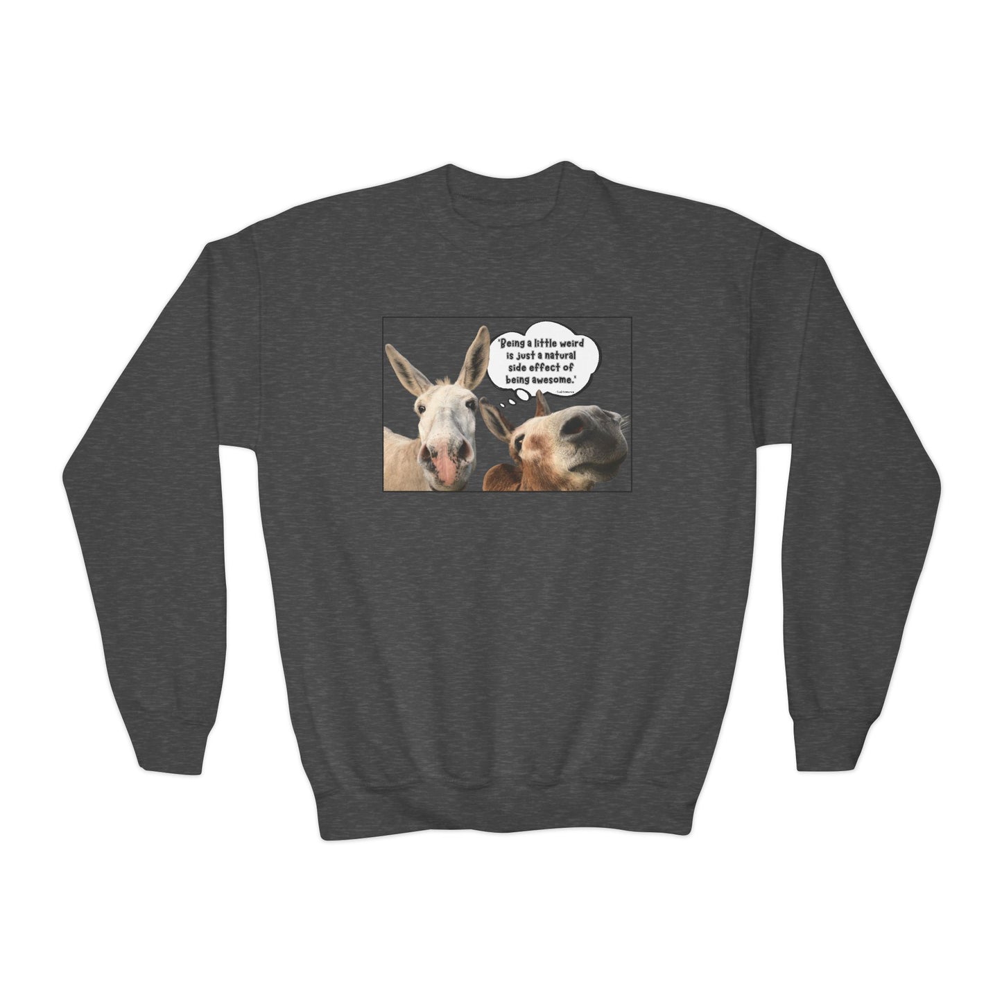 Sweatshirt - Crewneck (Youth) - Weird is Awesome
