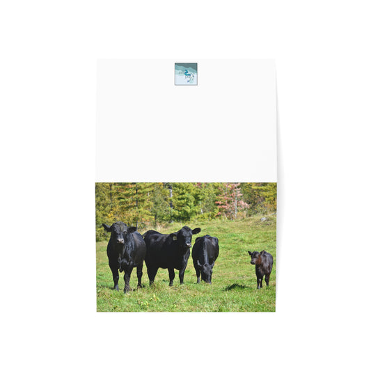 Note Cards | Set of 10 - Angus Cows in Autumn