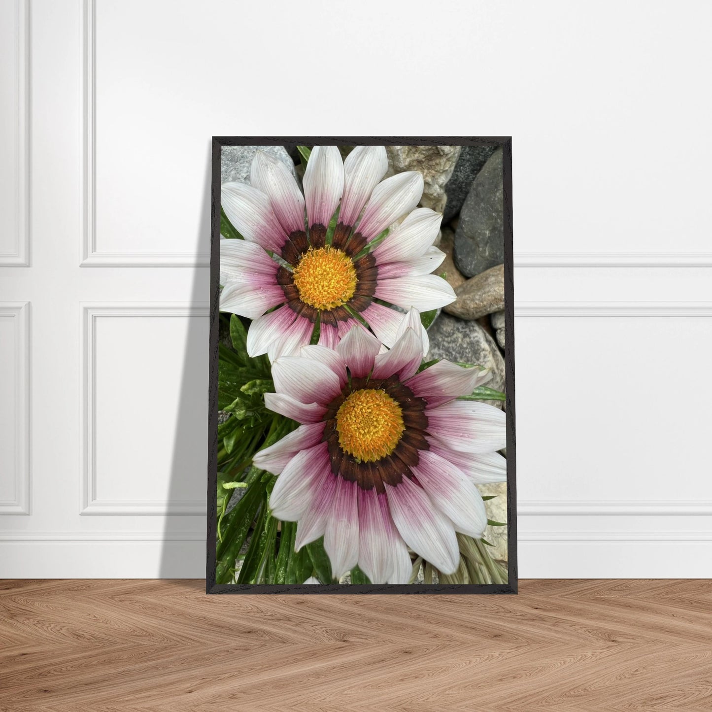 006ad789-8faf-476e-a176-a4c4d620d024