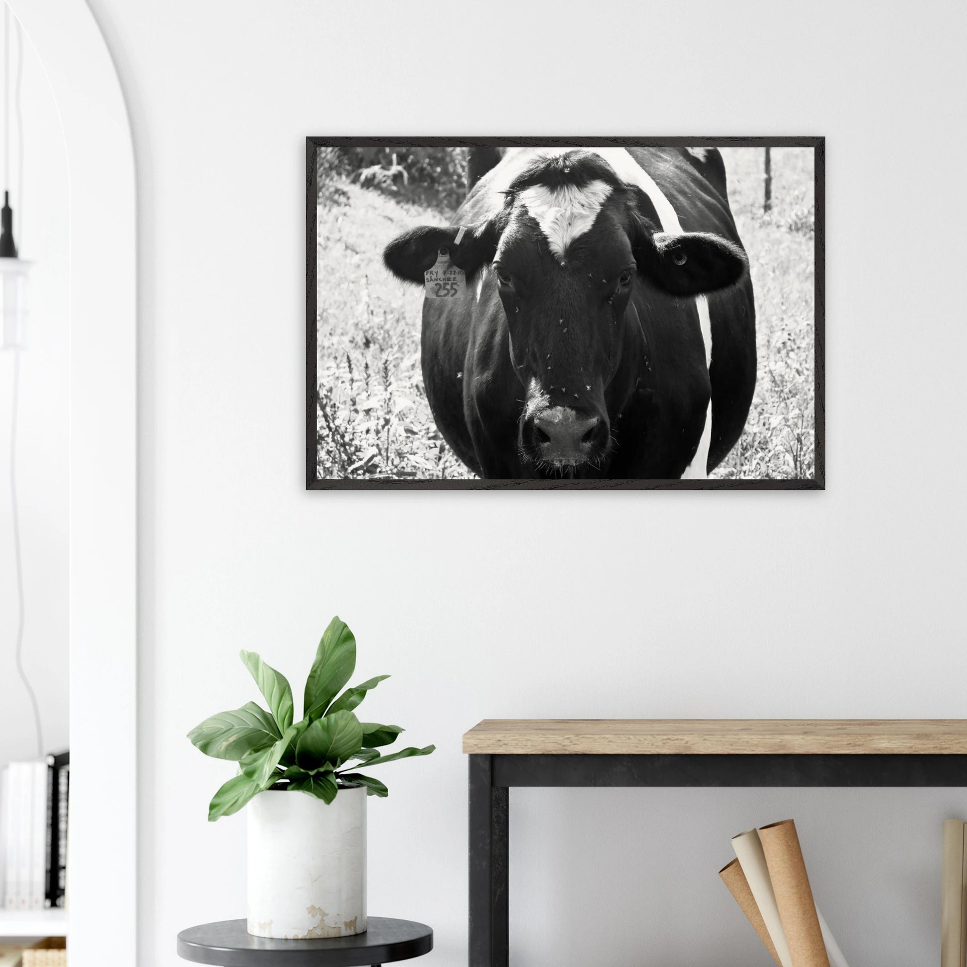 01050cda-e30a-4c08-bef7-7e269edc0e93