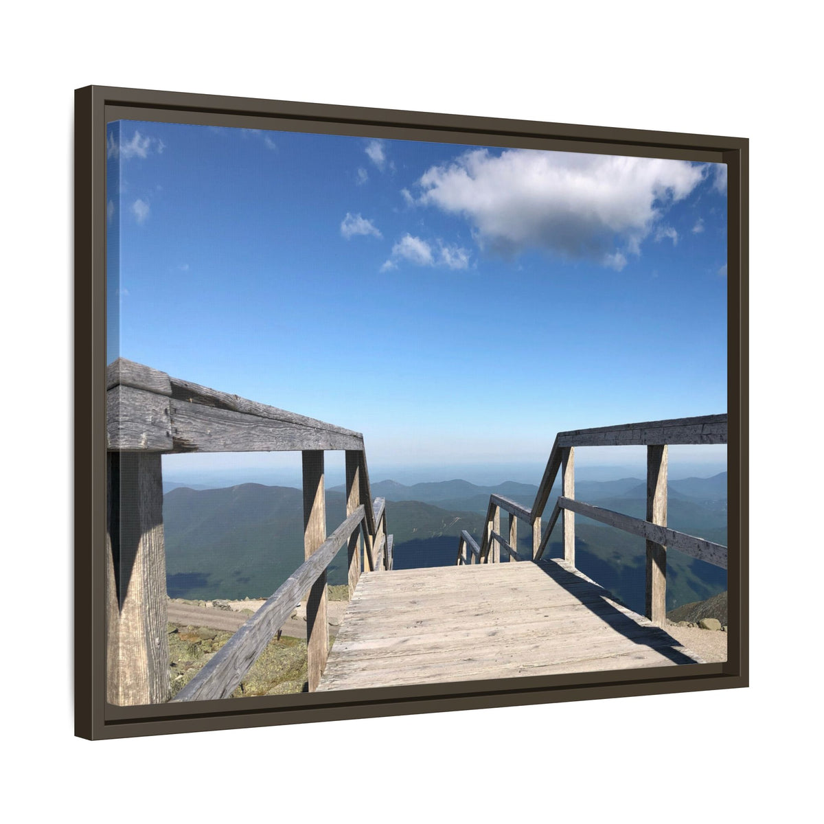 Quiet Descent Framed Matte Canvas Print