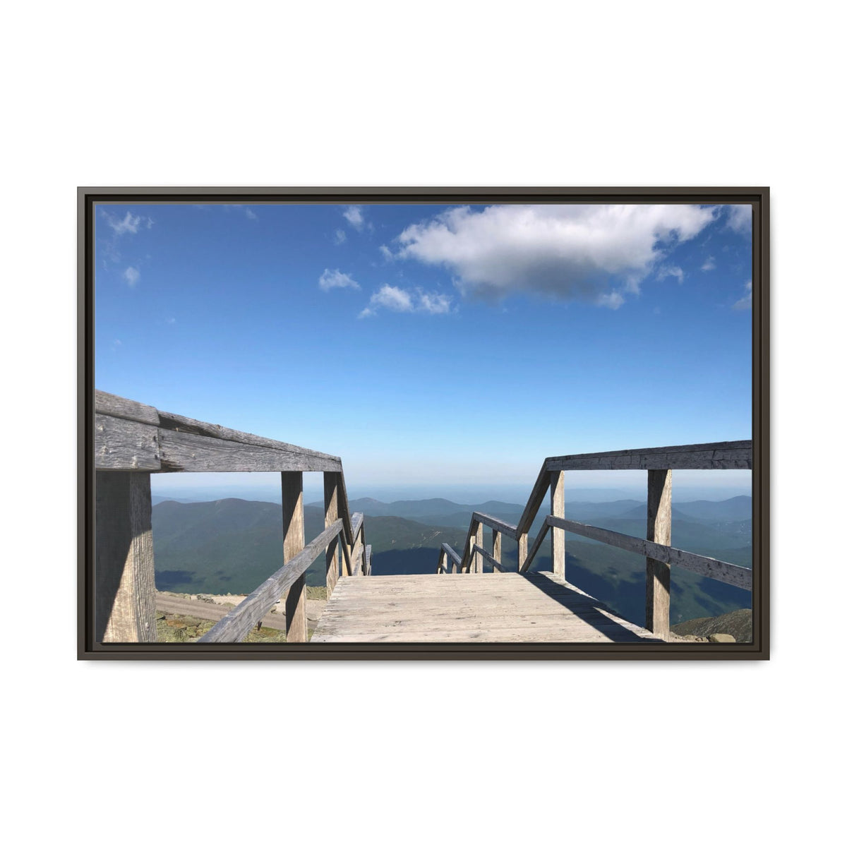Quiet Descent Framed Matte Canvas Print