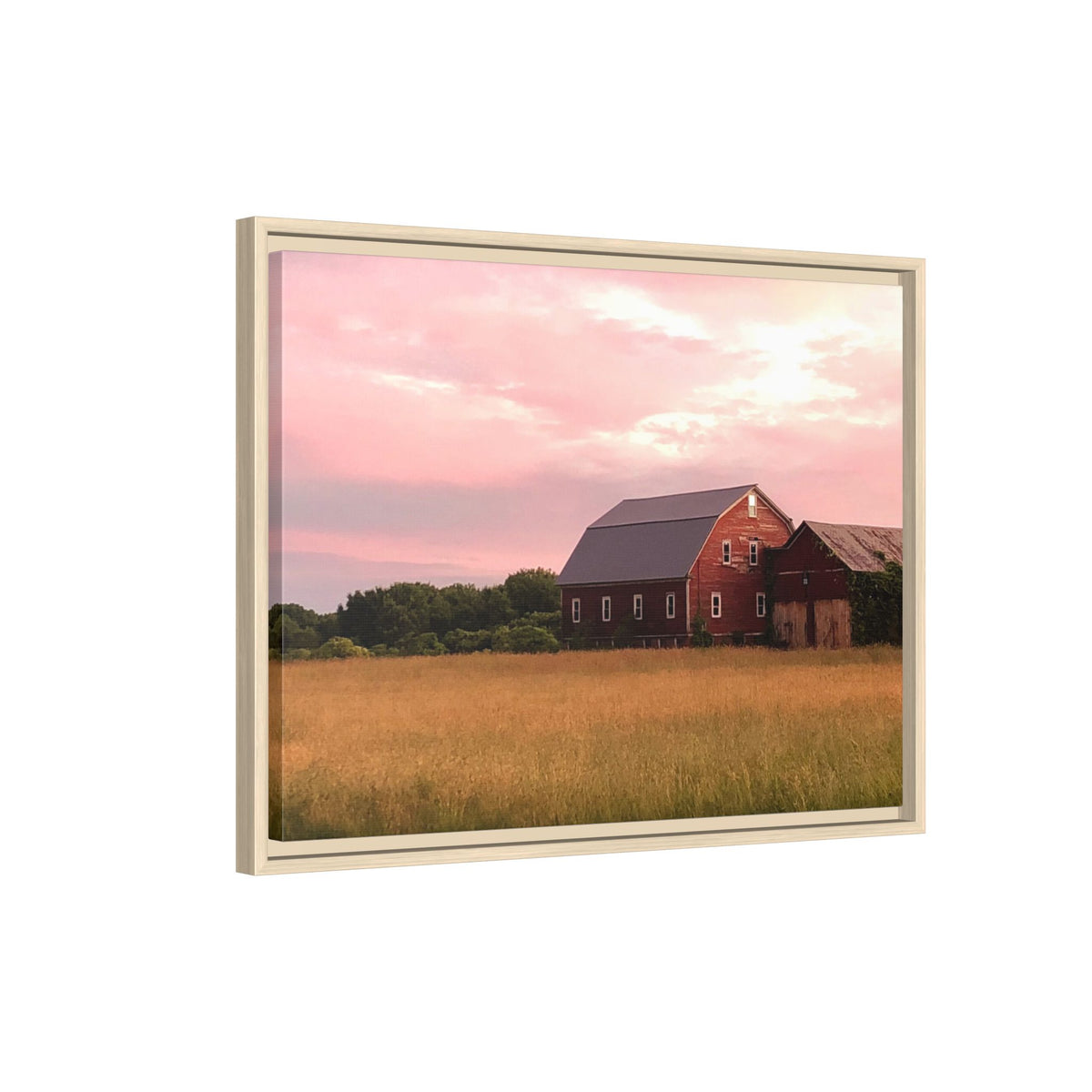 Weathered Barn at Dusk Canvas Framed Print