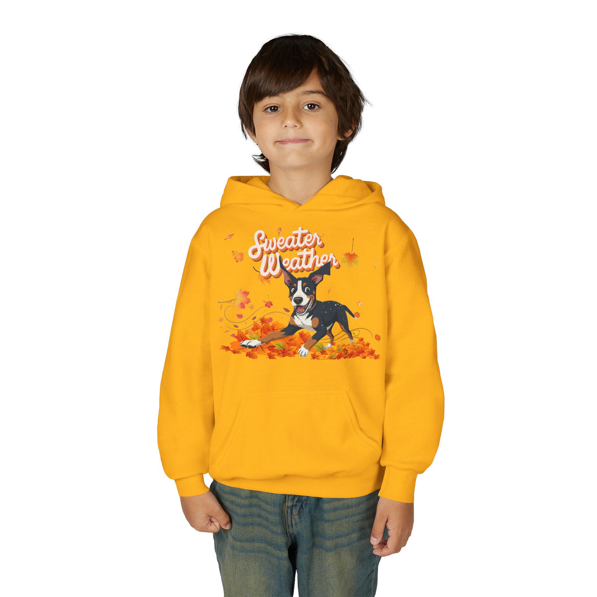 Sweater Weather Swissy Hoodie (Youth)