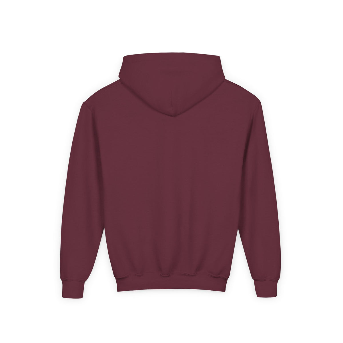 Sweater Weather Swissy Hoodie (Youth)