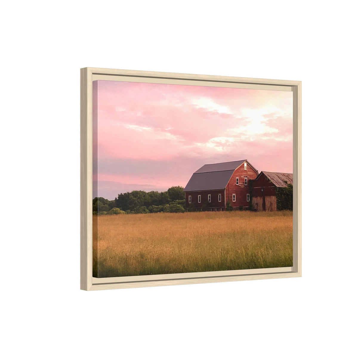 Weathered Barn at Dusk Canvas Framed Print