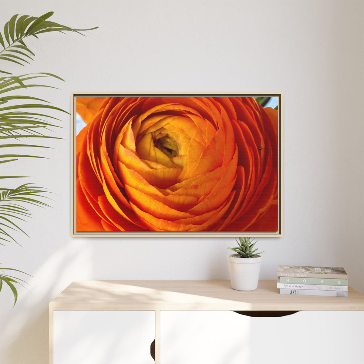 Orange Ranunculus Canvas Framed Print (original photograph by Kind River Studio)
