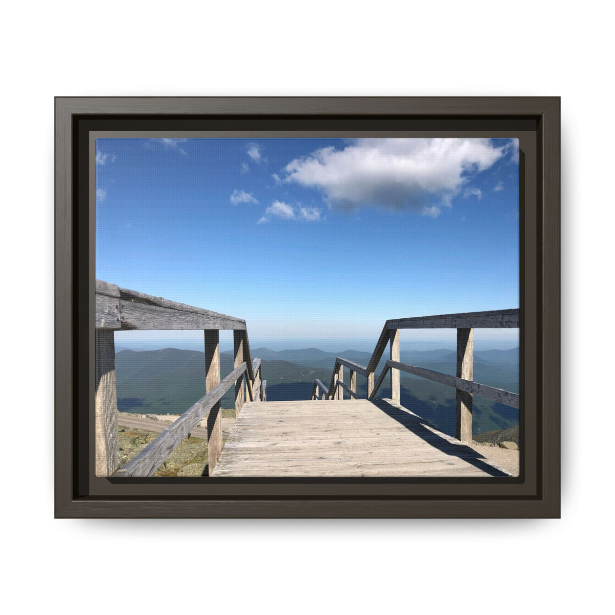 Quiet Descent Framed Matte Canvas Print