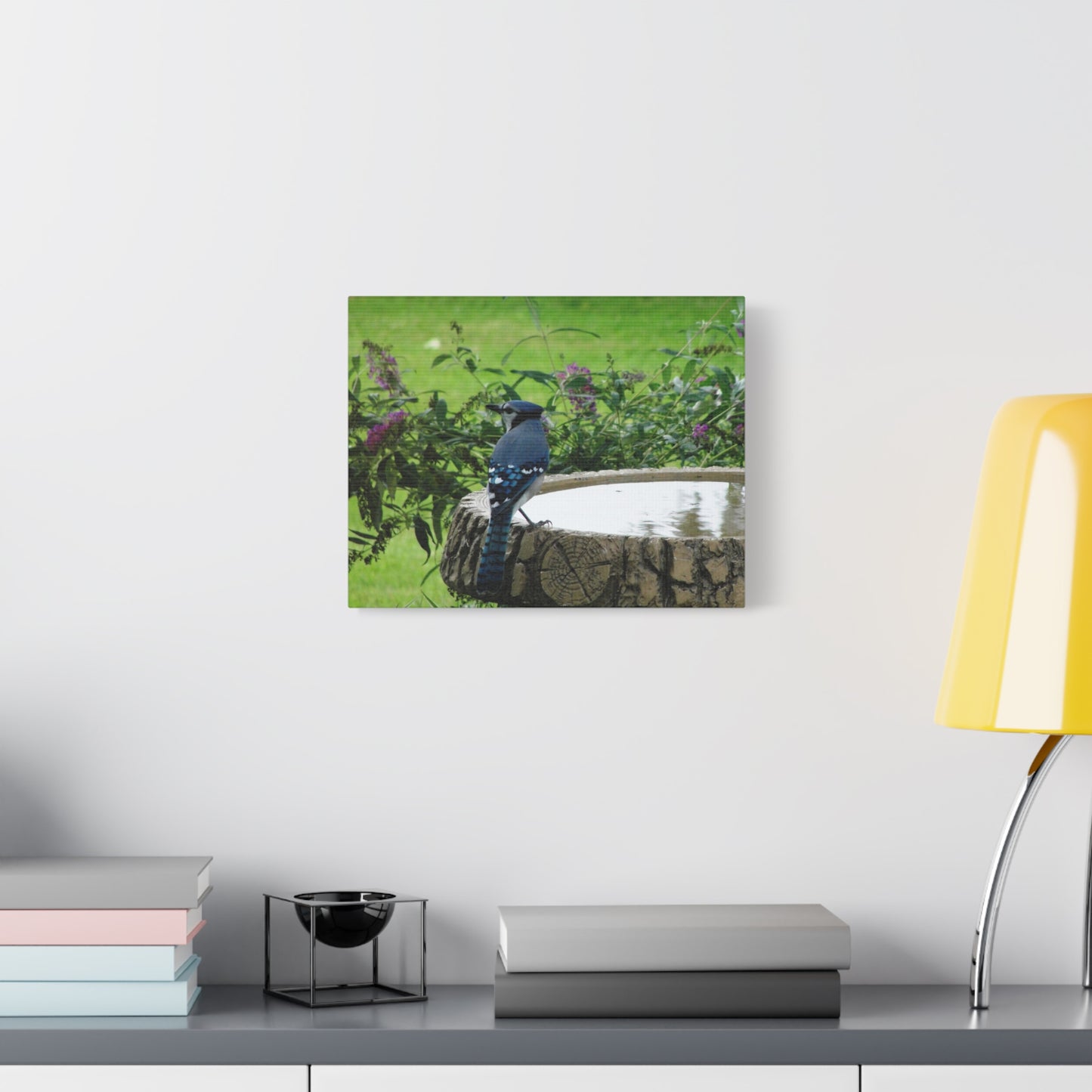 Canvas Print - Blue Jay at Bath (original photograph by Kind River Studio)