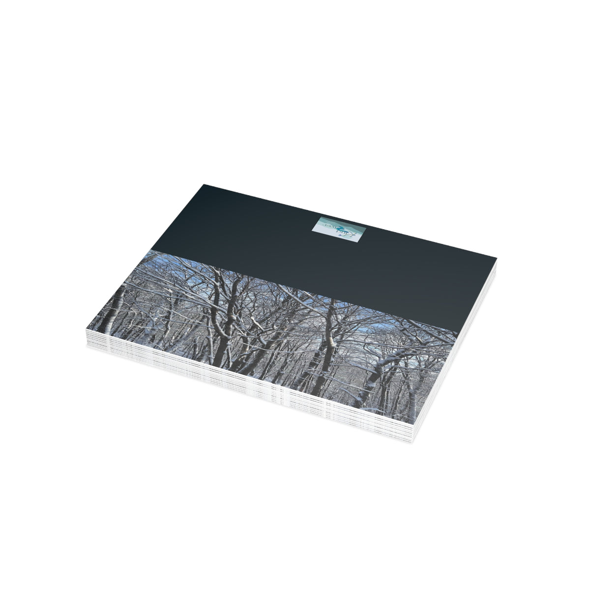 Copy of Note Cards | Set of 10 - Swans (original photograph by Kind River Studio)