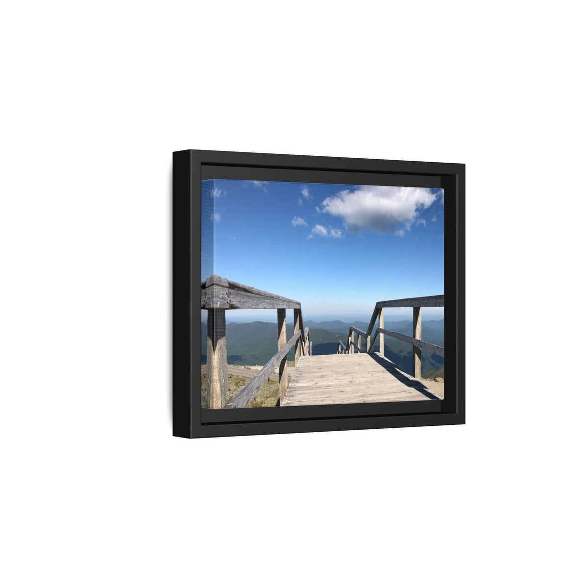 Quiet Descent Framed Matte Canvas Print