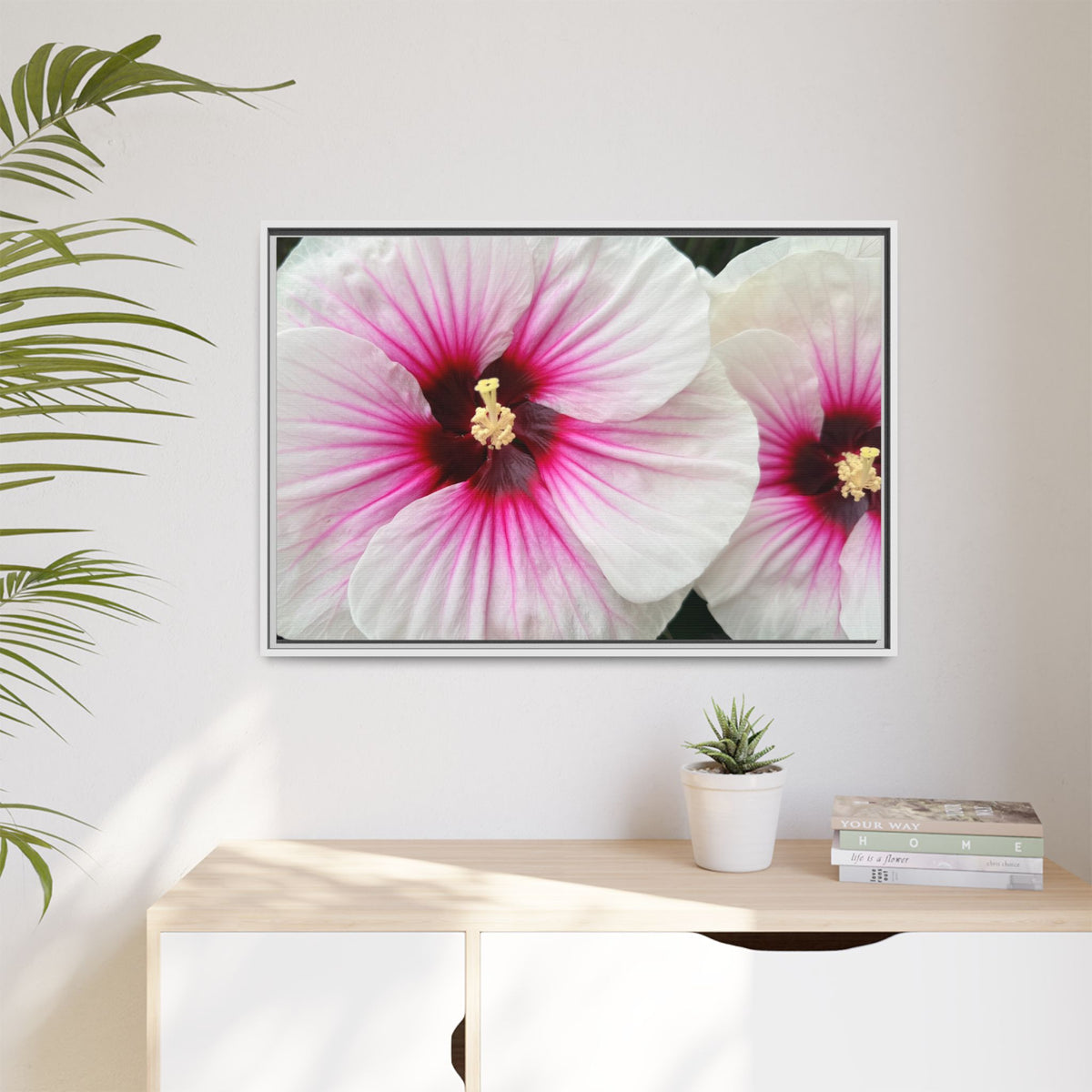 White Hibiscus Canvas Framed Print (original photograph by Kind River Studio)
