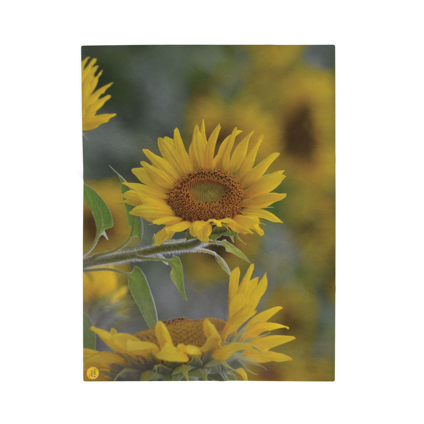 Blanket (Velveteen Plush) - Sunflower
