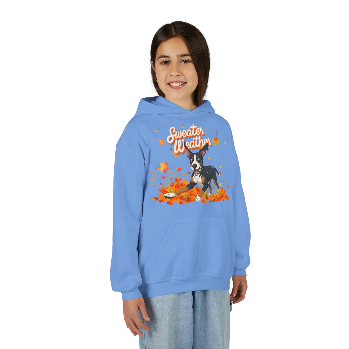 Sweater Weather Swissy Hoodie (Youth)