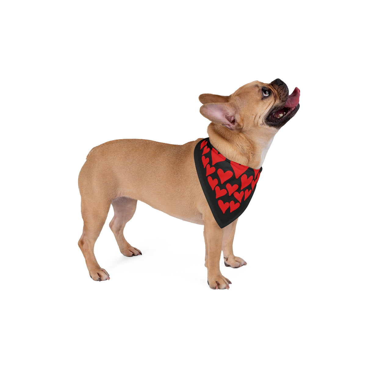 Hand Drawn Red Hearts Pet Bandana (single-sided)