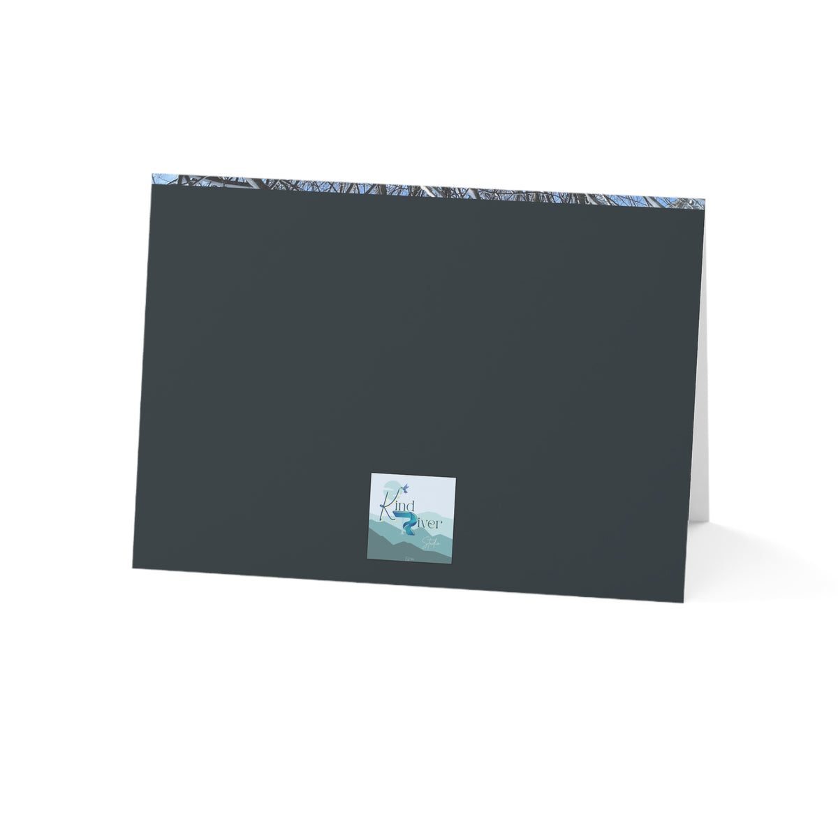Copy of Note Cards | Set of 10 - Swans (original photograph by Kind River Studio)