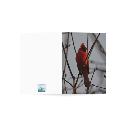 Note Cards | Set of 10 - Cardinal