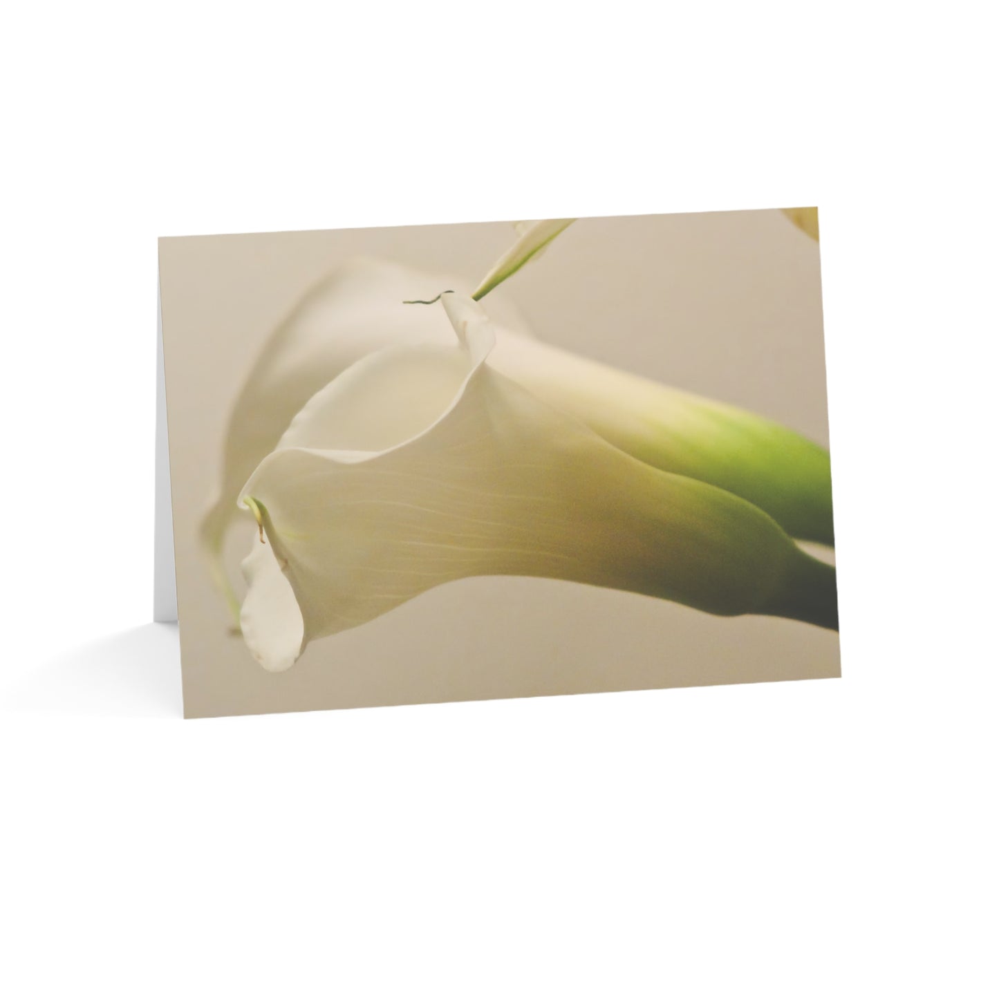 Note Cards | Set of 10 - Calla Lily