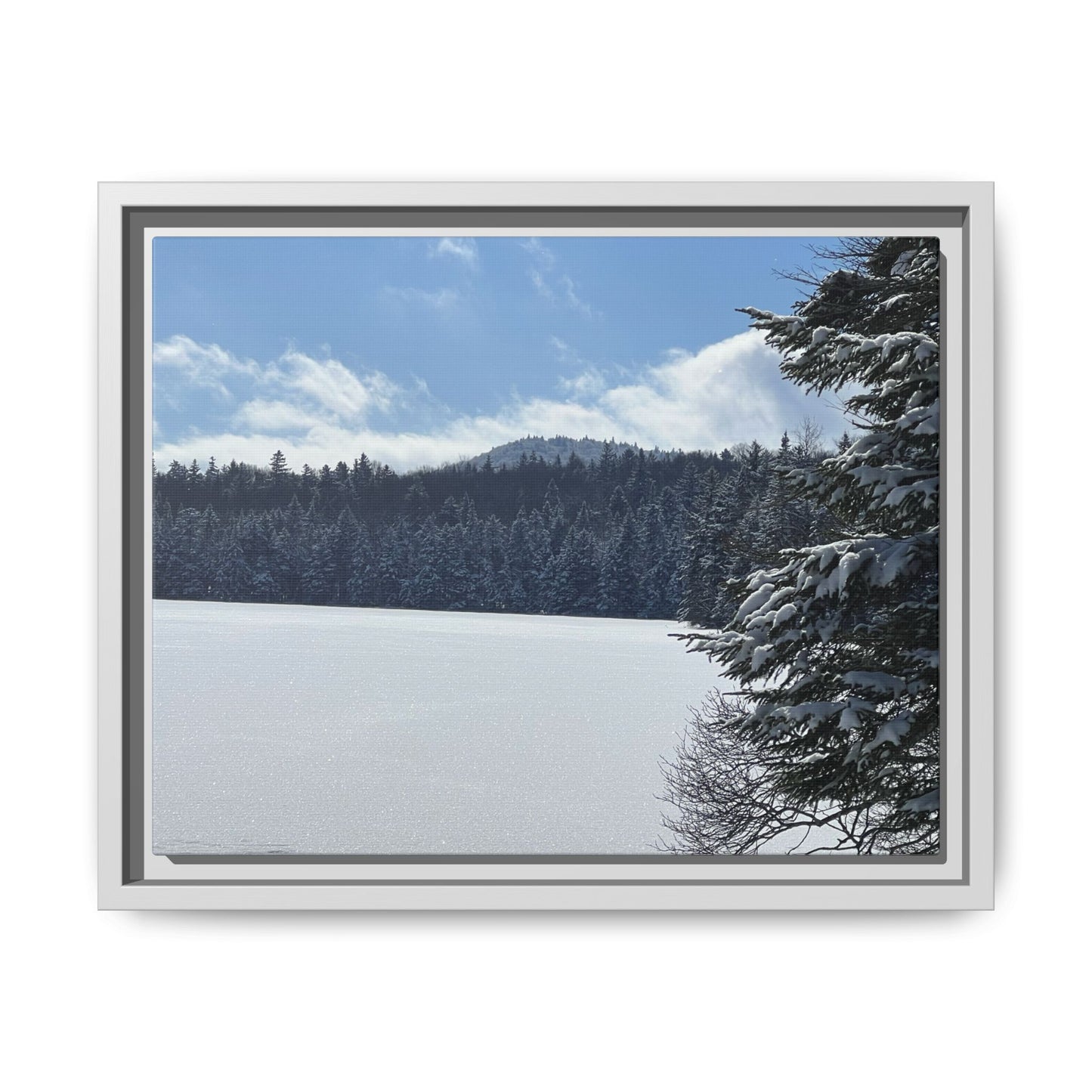 Canvas Print in Frame - Winterscape at Griffith Lake (original photograph by Kind River Studio)