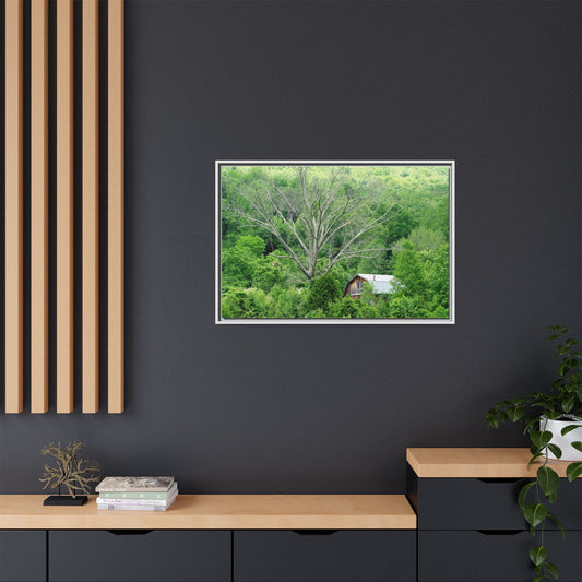 Canvas Print in Frame - Hidden On the Tennessee (original photograph by Kind River Studio)