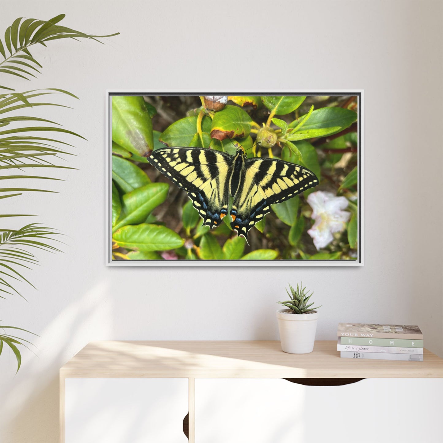 Canvas Print in Frame - Eastern Tiger Swallowtail on Rhodie (original photograph by Kind River Studio)