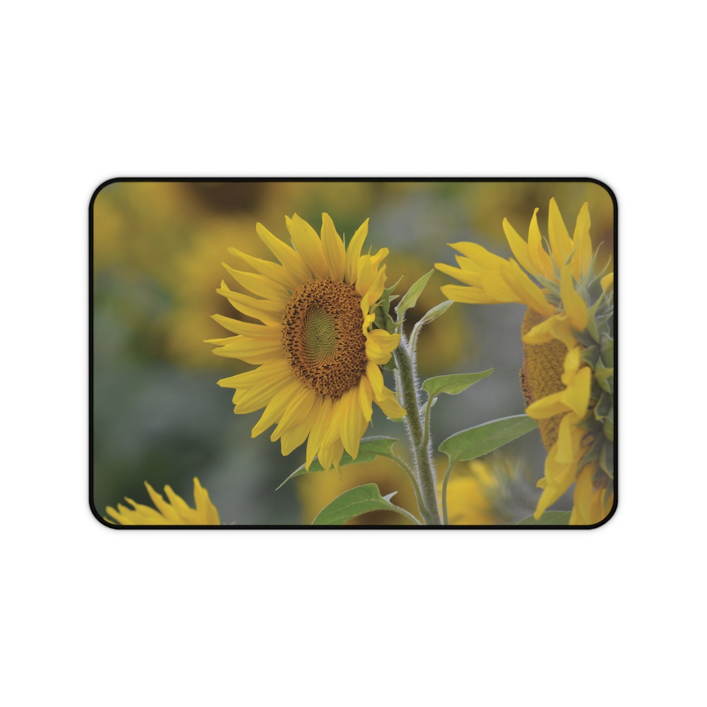 Sunflower Field Desk Mat  (original photograph by Kind River Studio)