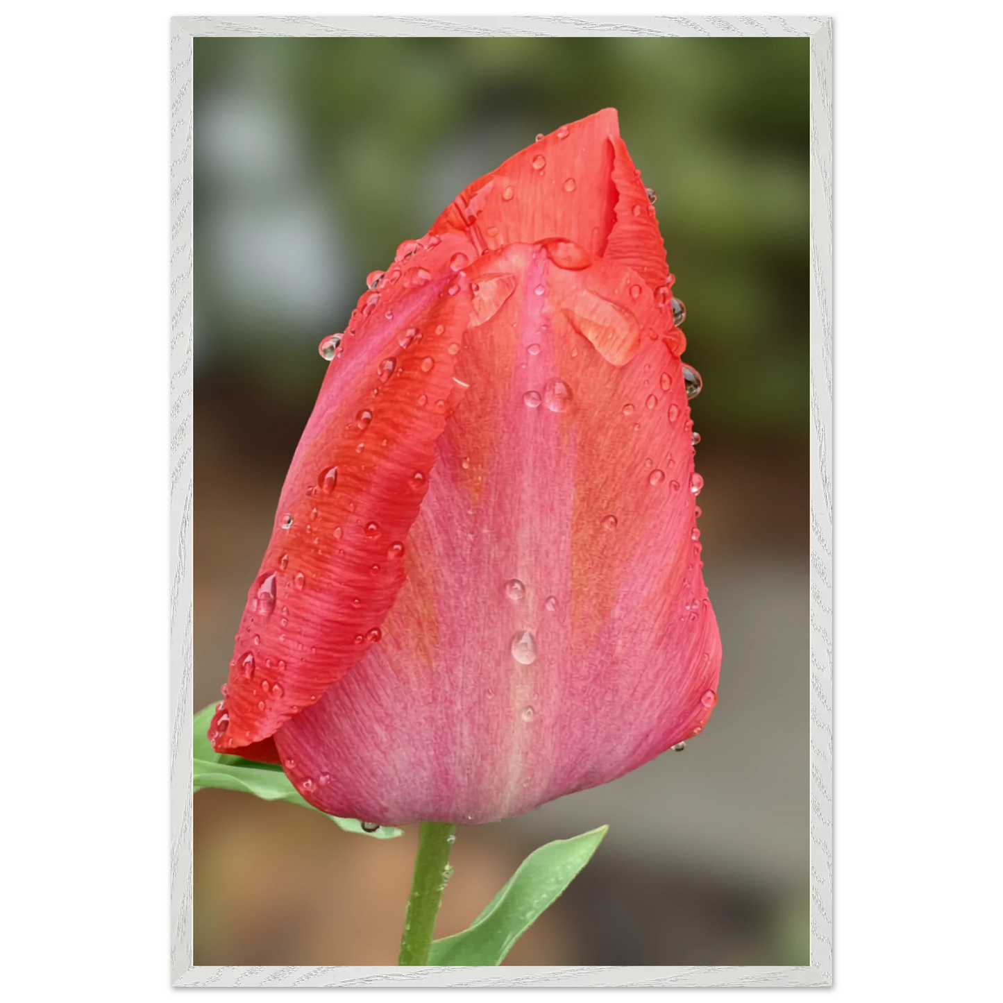 117ad821-cfab-488c-ac59-9cc323584431