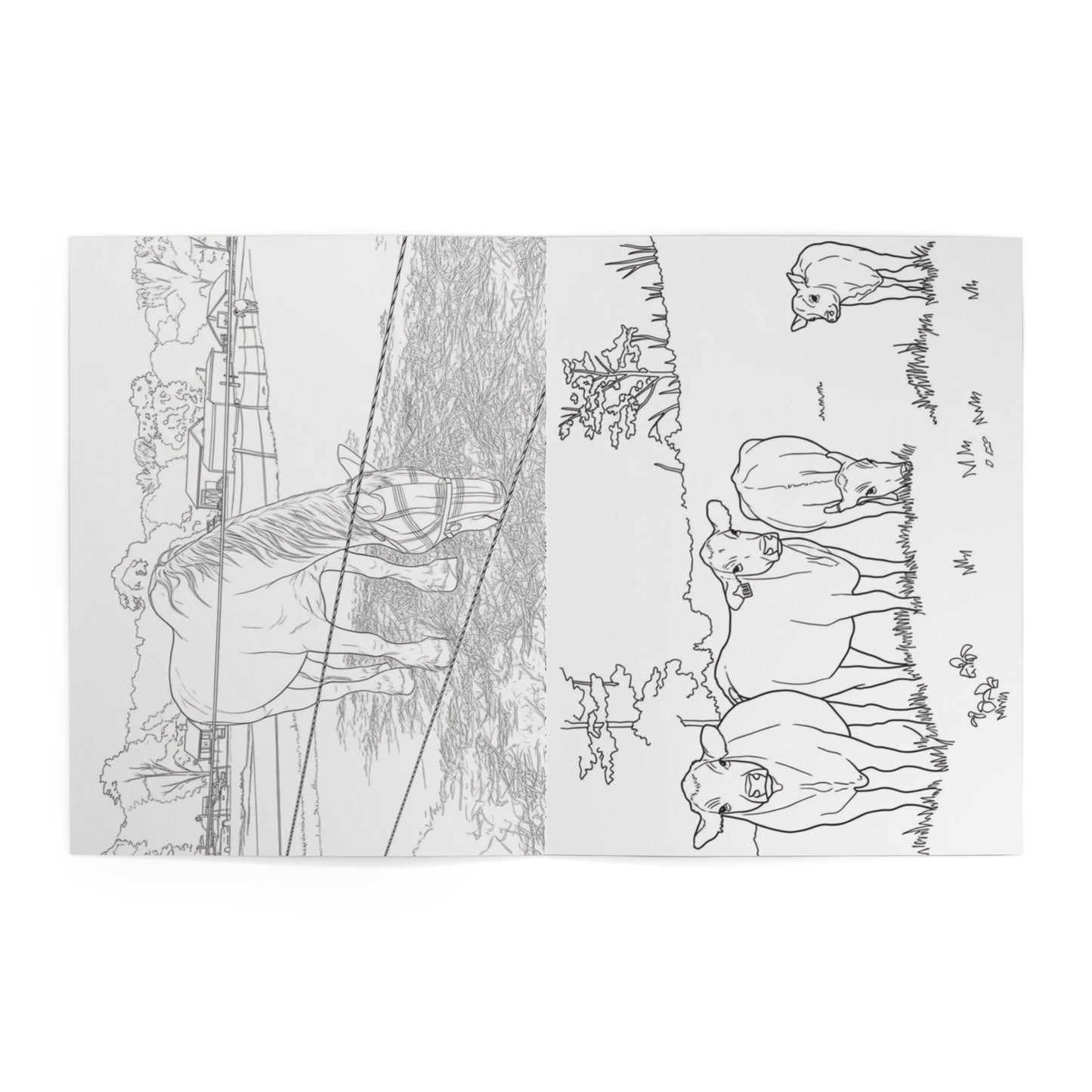 Coloring Book – Animals & Insects