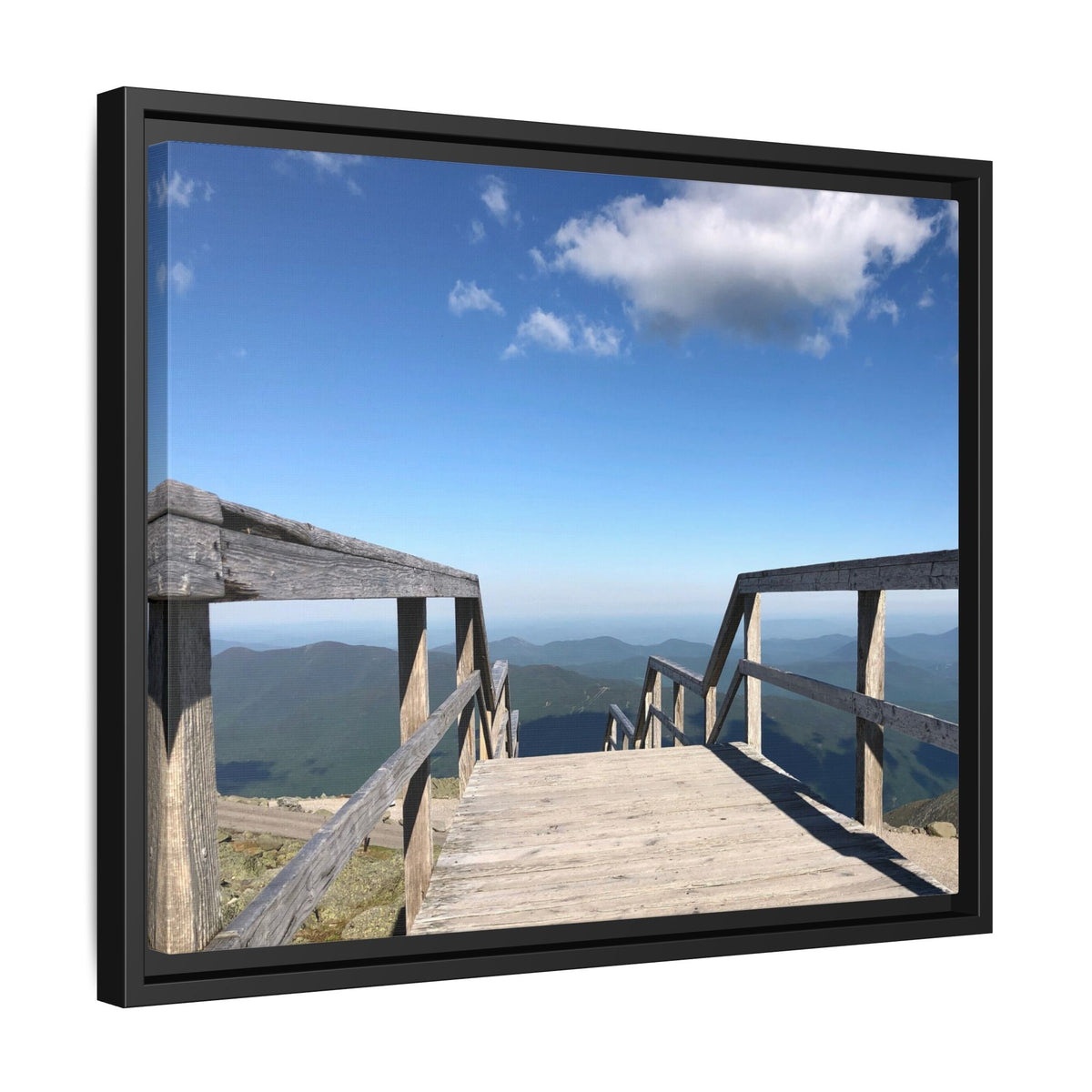 Quiet Descent Framed Matte Canvas Print