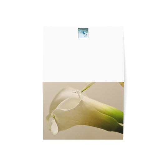 Note Cards | Set of 10 - Calla Lily