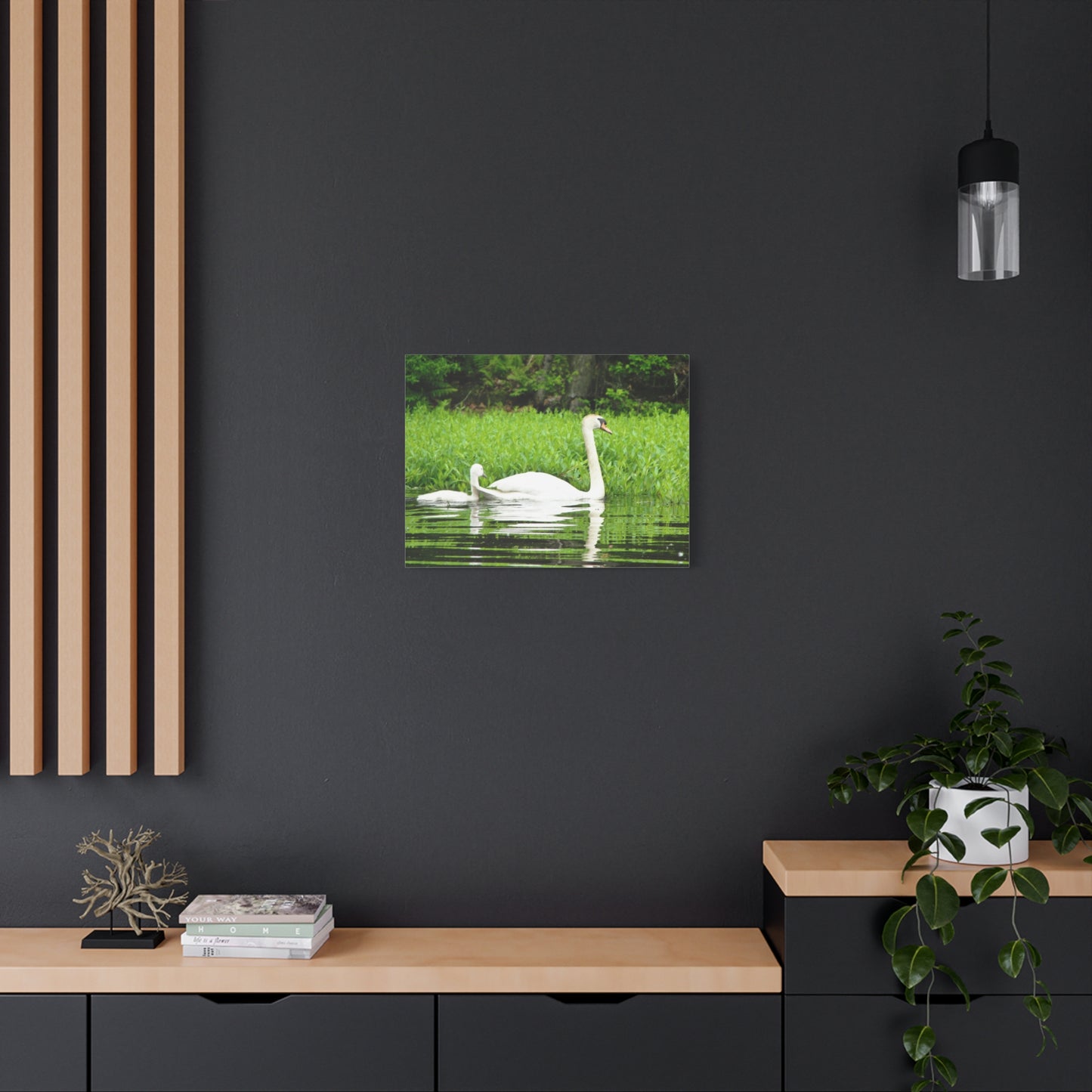 Canvas Print - White Swans (original photograph by Kind River Studio)