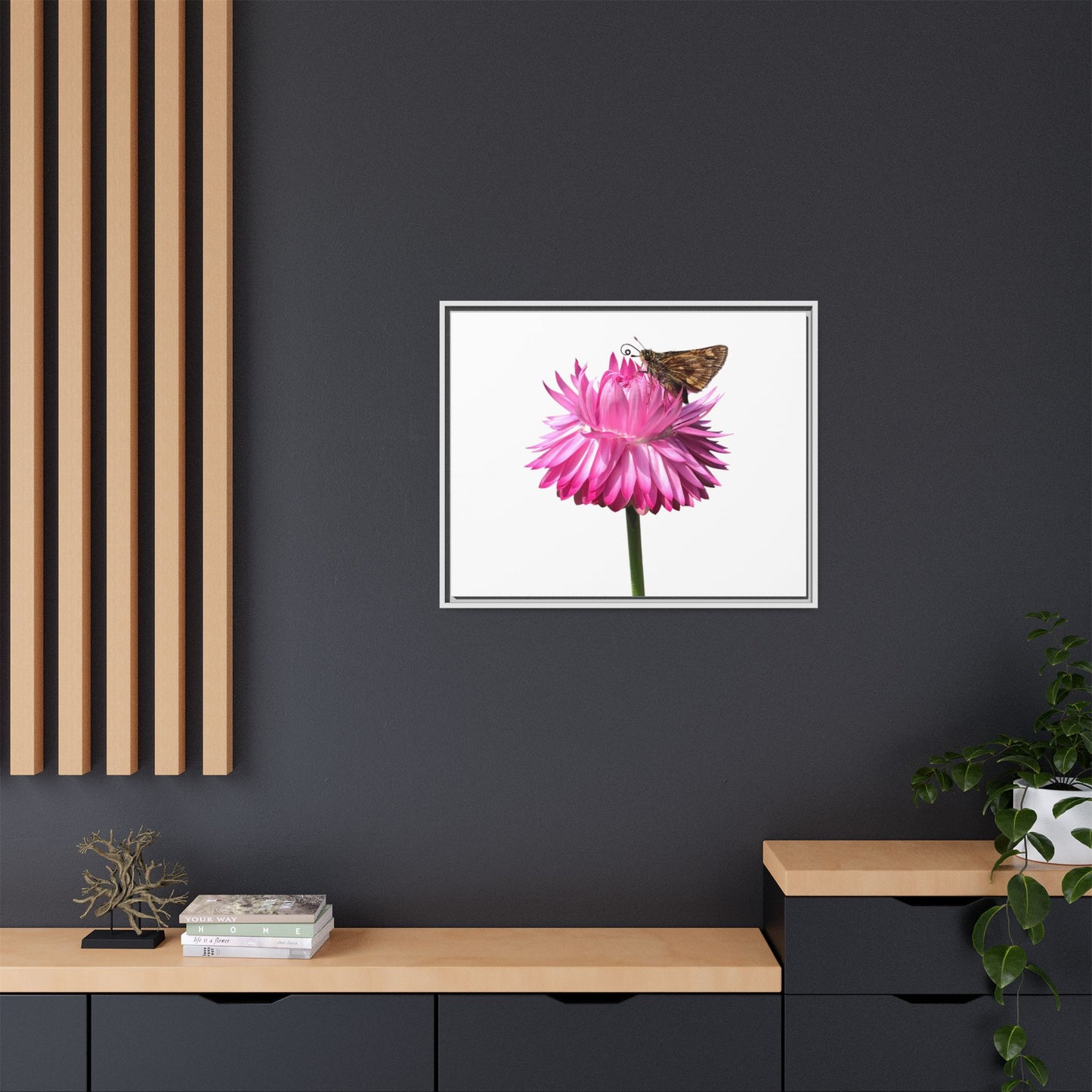 Canvas Print in Frame - Skipper on Strawflower (original photograph by Kind River Studio)