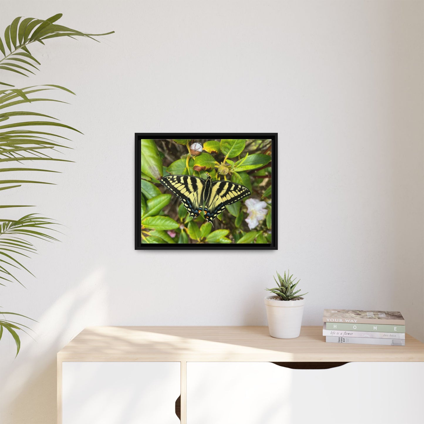 Canvas Print in Frame - Eastern Tiger Swallowtail on Rhodie (original photograph by Kind River Studio)