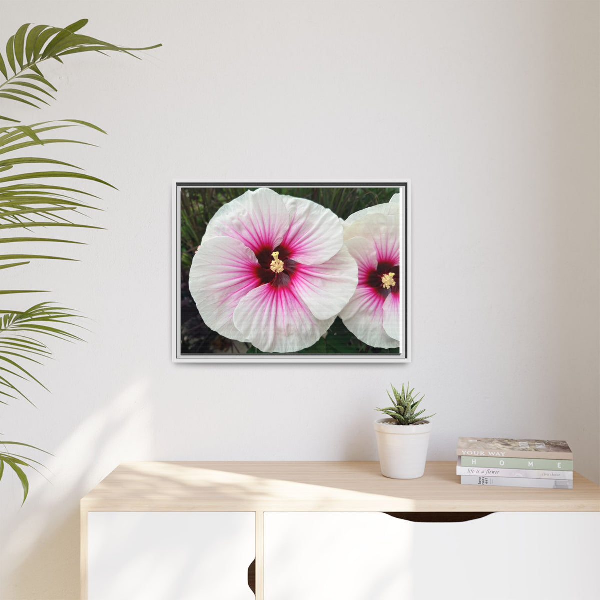 White Hibiscus Canvas Framed Print (original photograph by Kind River Studio)