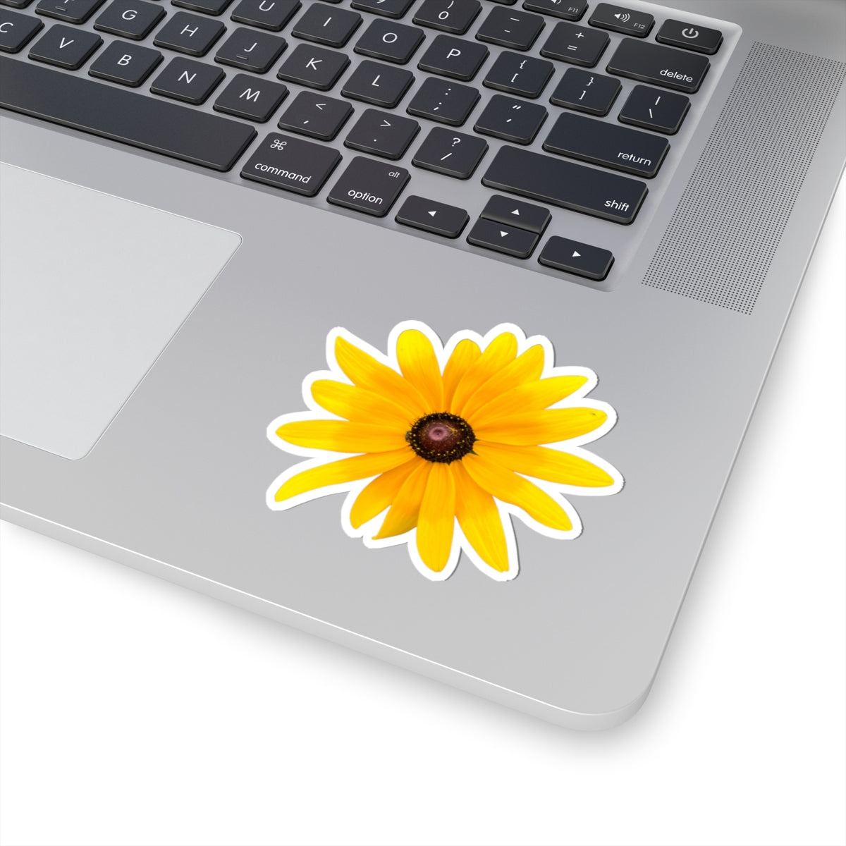 Sticker - Gloriosa Daisy