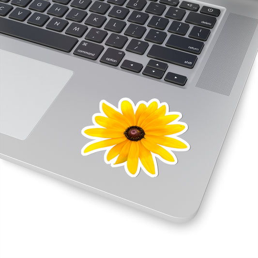 Sticker - Gloriosa Daisy